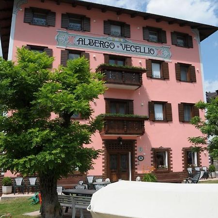 Albergo Vecellio Auronzo di Cadore Eksteriør bilde